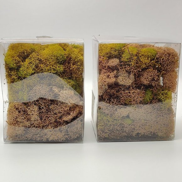 Pier 1 Imports Decorative Filler  2 Boxes Green and Brown Moss New - Picture 2 of 5